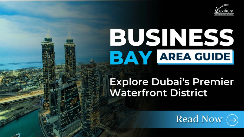business bay area guide